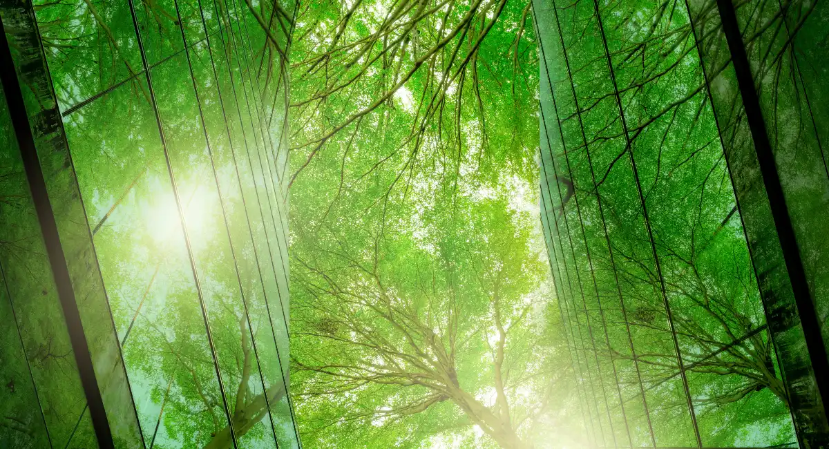 trees