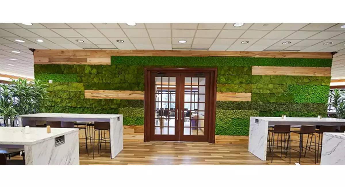 vertical garden