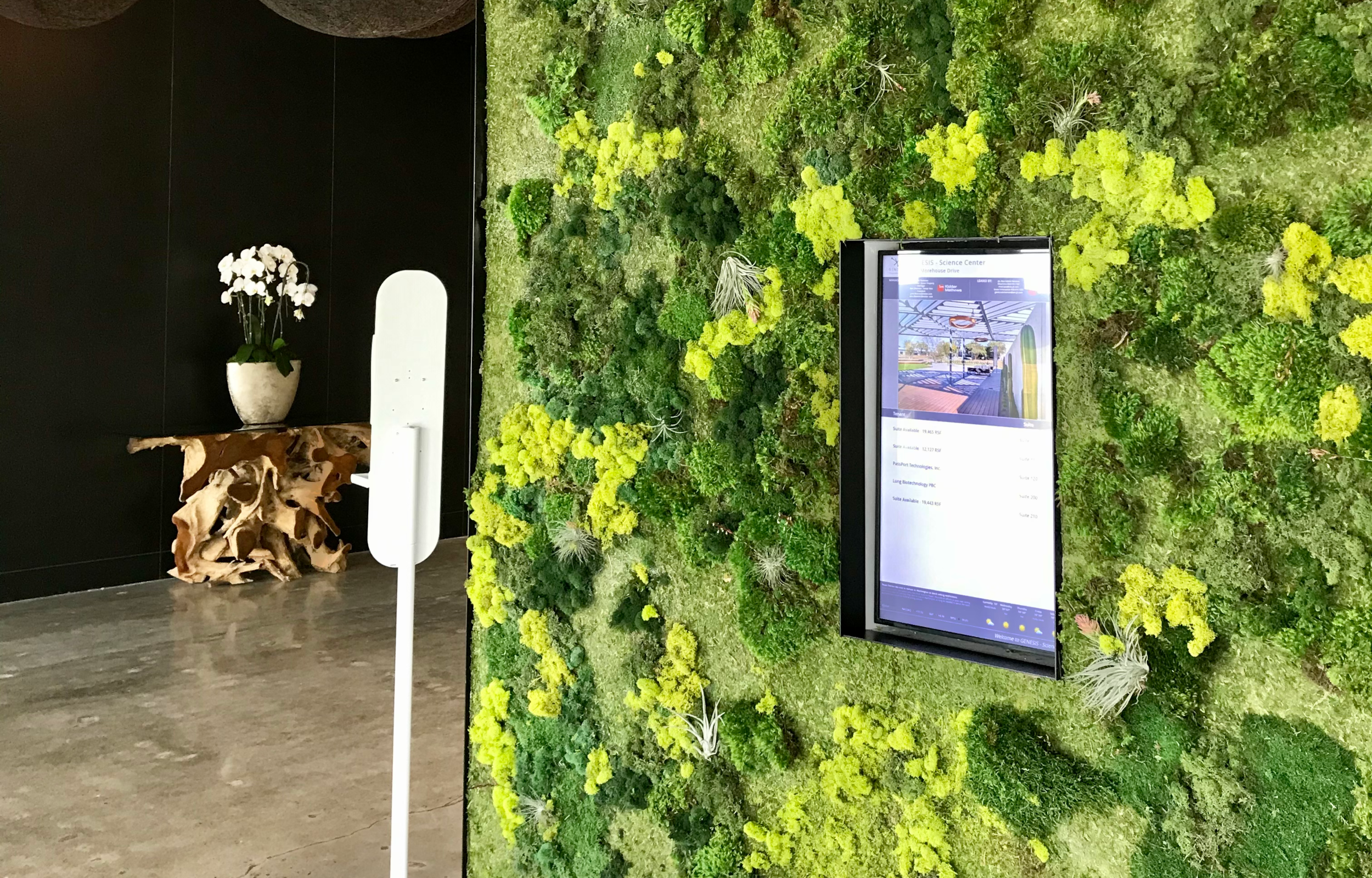 Moss wall in lobby