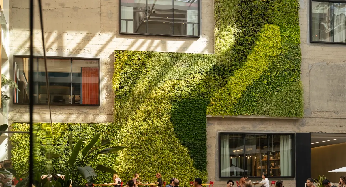Green wall inside Brannan 888