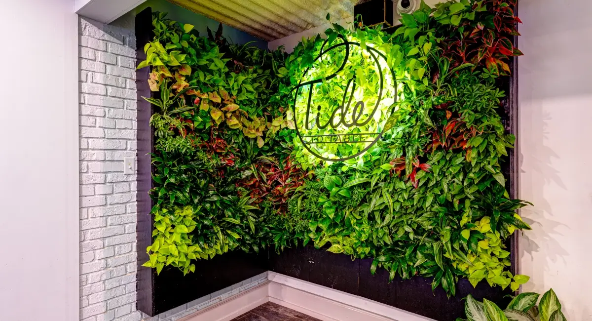 A vibrant indoor living wall featuring a backlit "Tide to Table" logo sign.