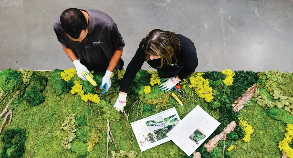 Two people preparing a wall of plants
