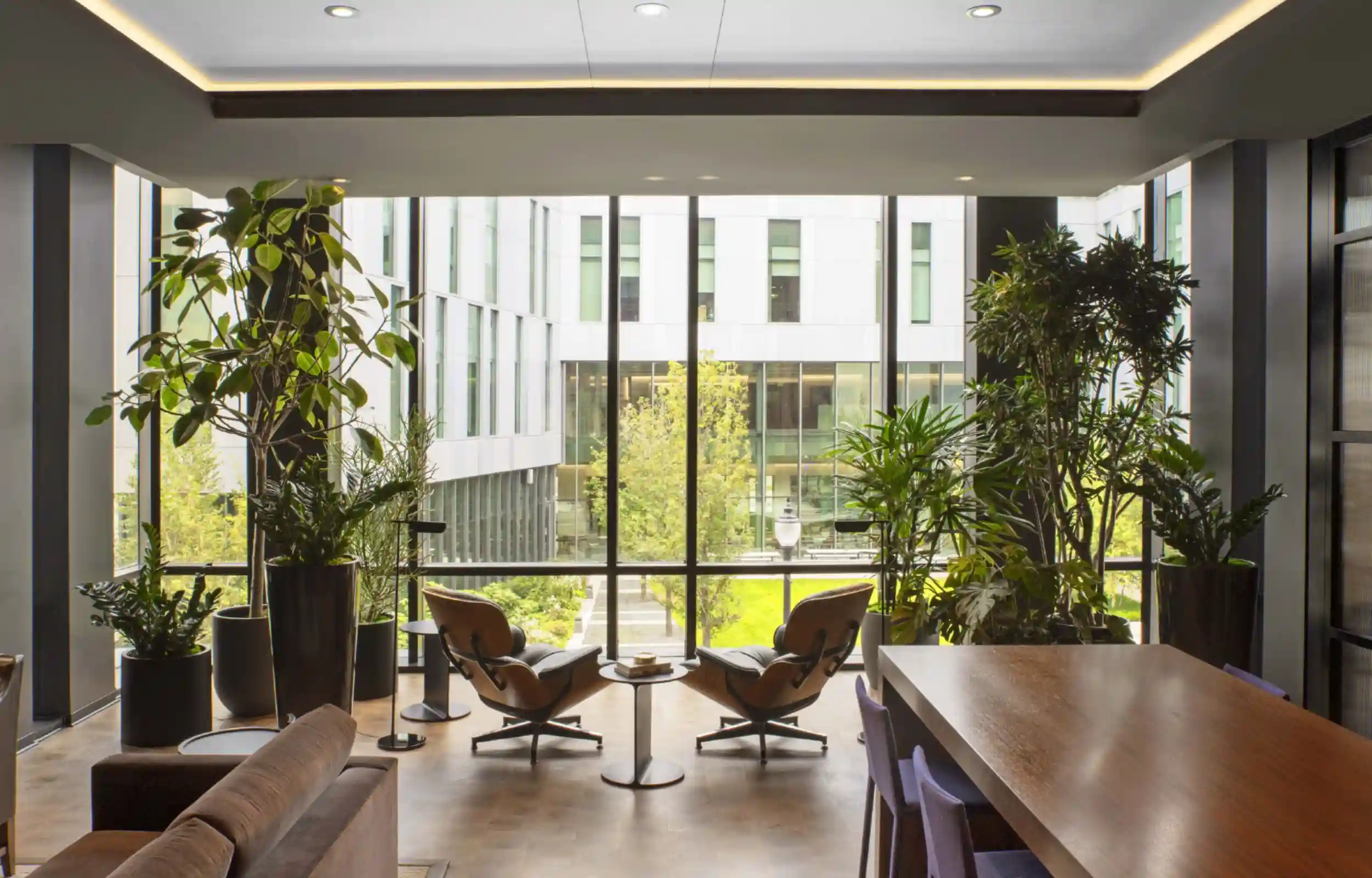 Biophilic design office space