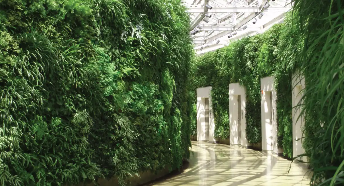 Plant-walled sunny hallway