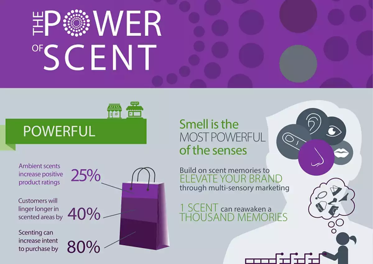 scentinfographic