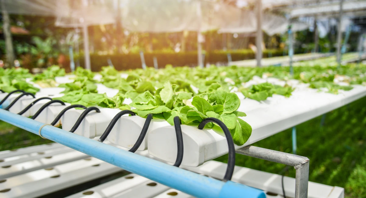 Emerging robo-agriculture