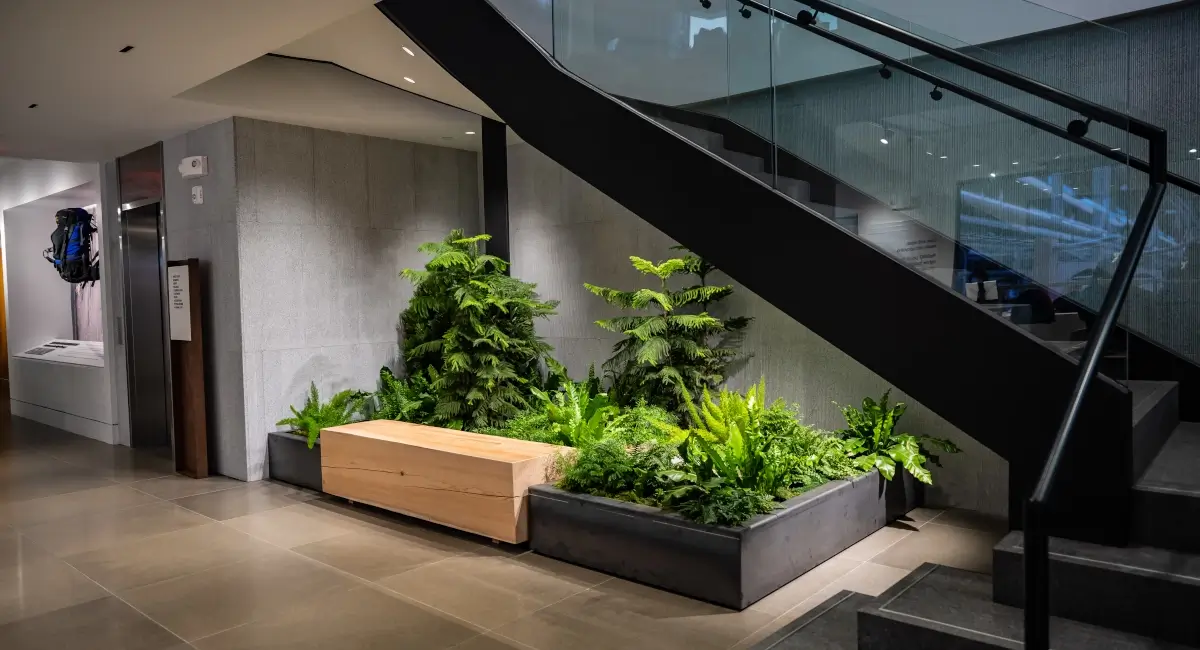 Indoor greenery in outdoor retail store