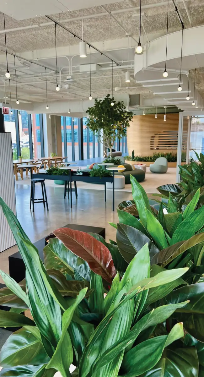 Office lobby with indoor plants