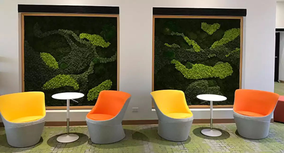 Moss walls