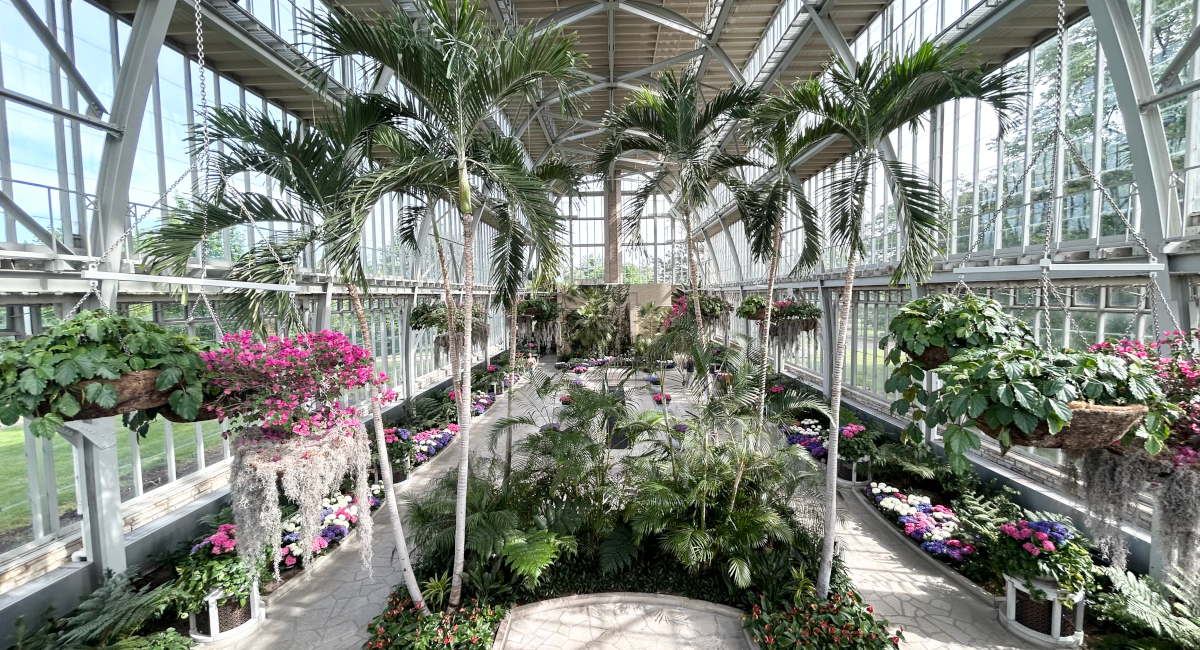 interior plantscape with live trees, flowers, and shrubery