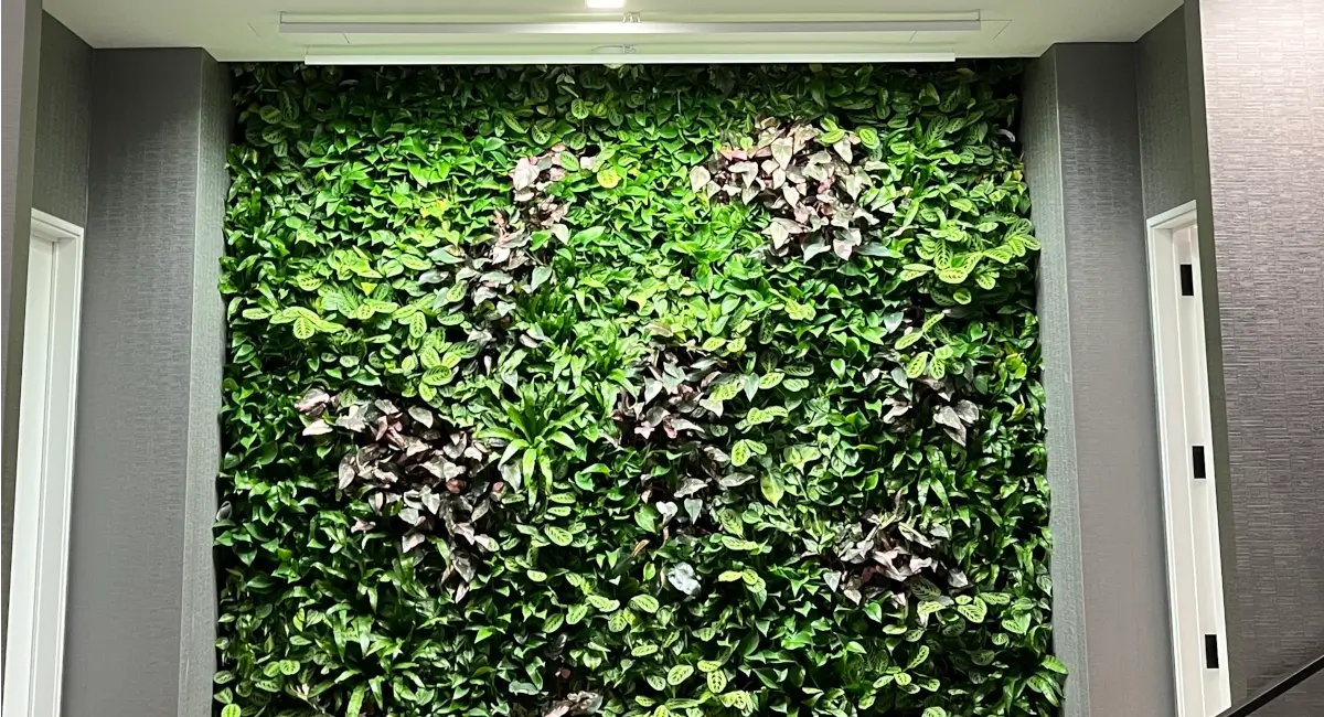 Two story green wall