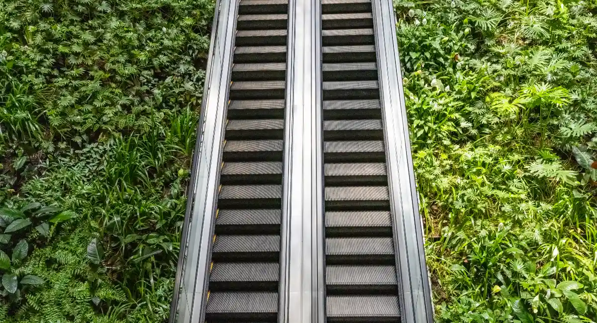 image-stock-ambius-escalator-plants-getty-1454048332.webp