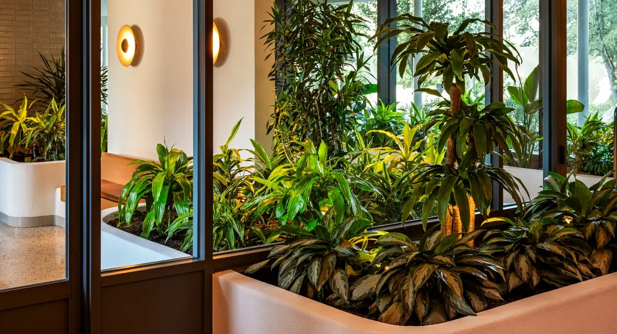 Indoor greenery in luxury apartment