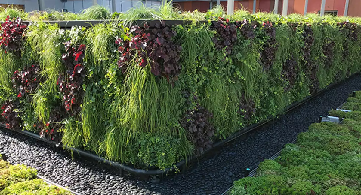 Outdoor wall