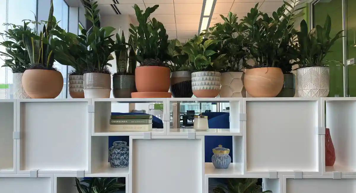 Various plants in geometric designed pots