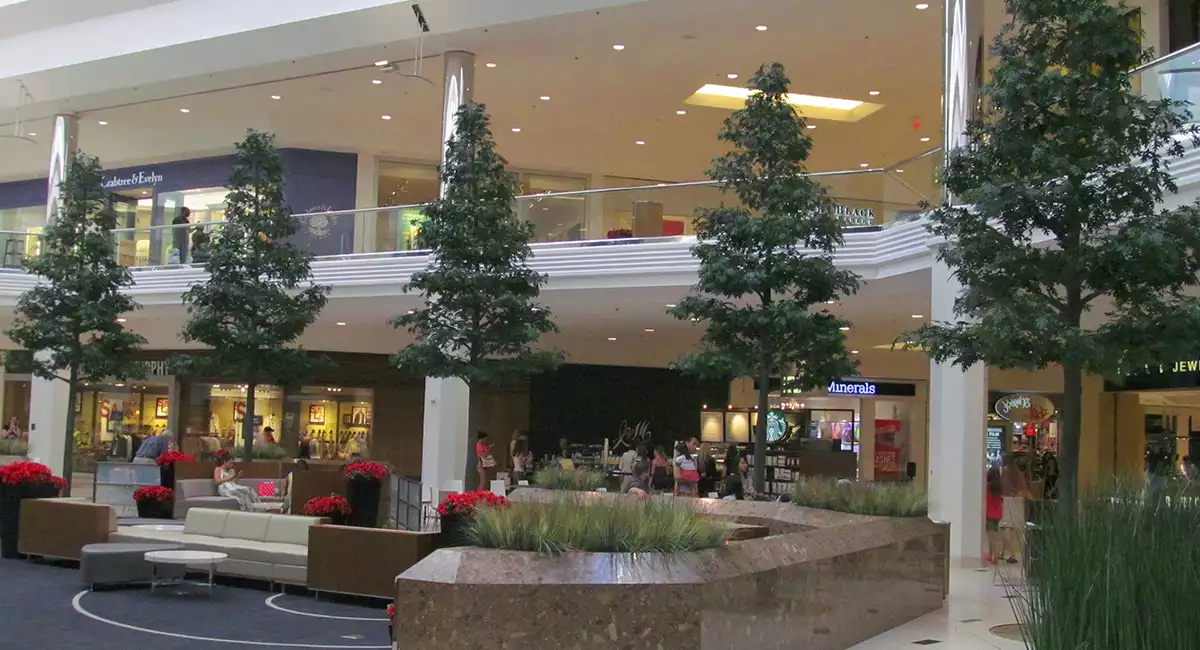 Live trees in Twelve Oaks Mall