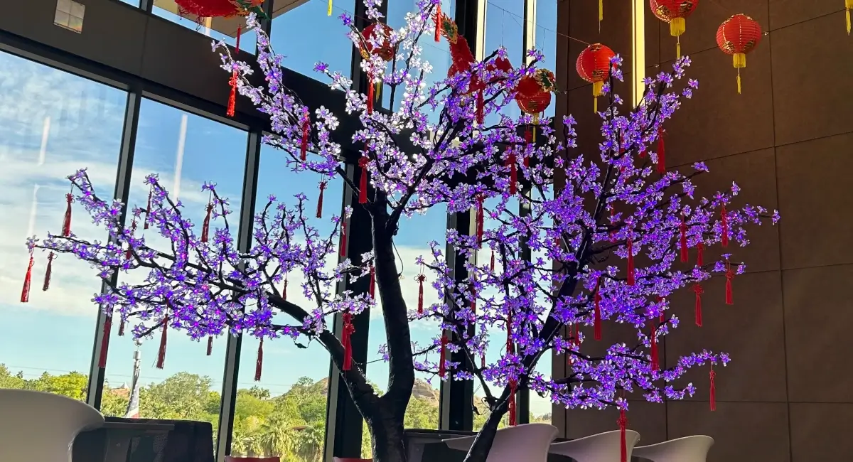 10' tall, lit Cherry Tree under a sky of paper lanterns