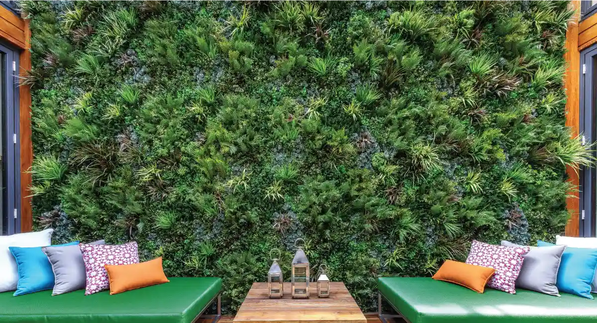 Wall of Plant Outside Lounge