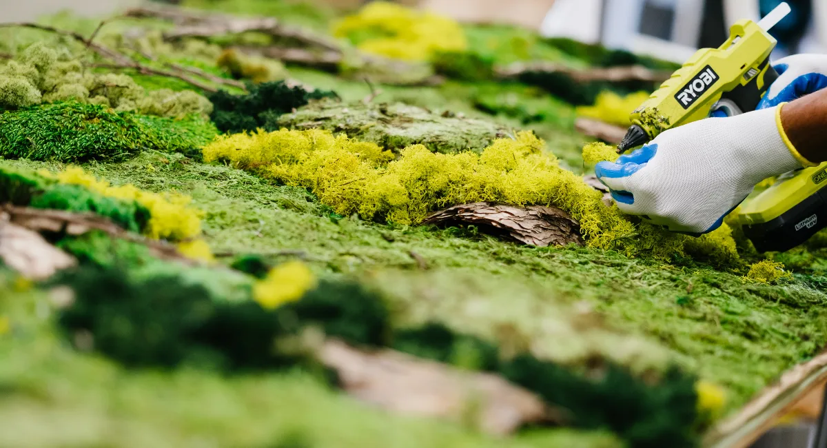 image-stock-ambius-sticking-moss-down.webp