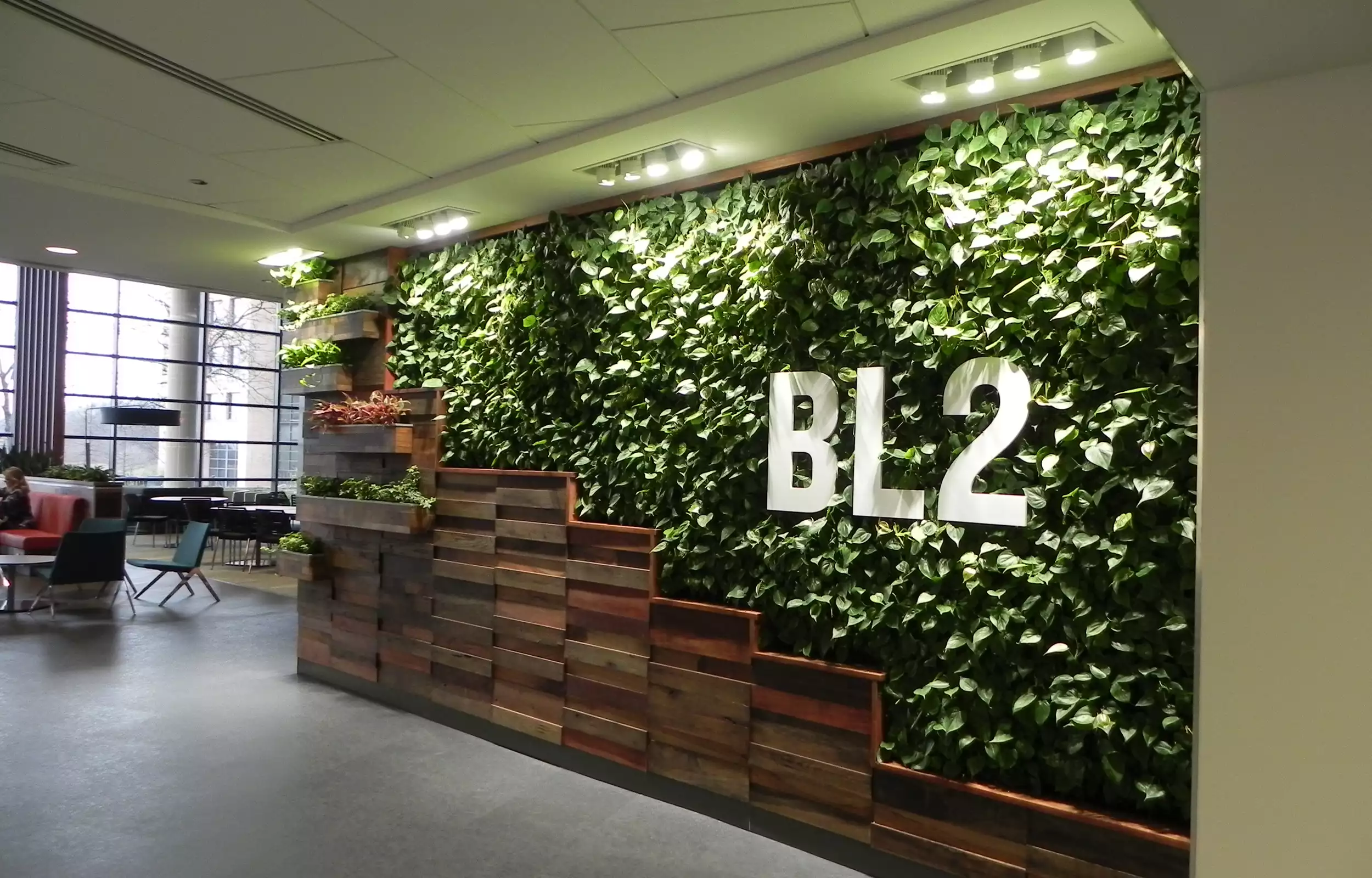Green wall with wood accents