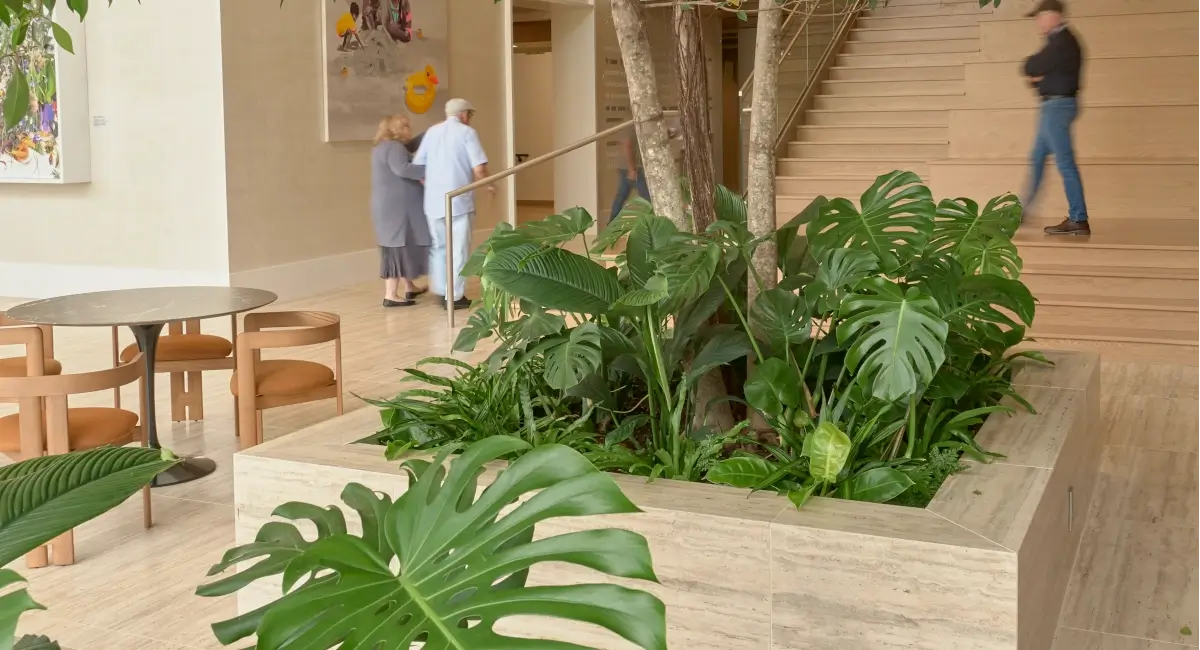 Close-up of a stone planter box with a large monstera plant and indoor tree in a contemporary office building.