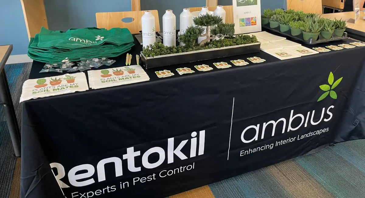 Ambius merchandise on a table