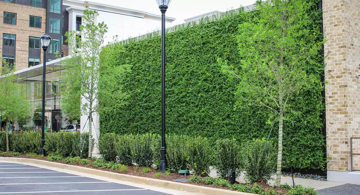 Outside green wall in Alpharetta GA