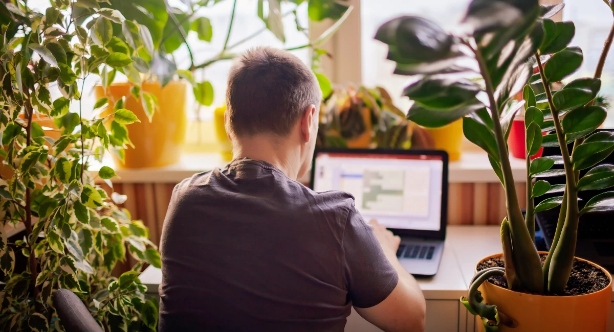 image-stock-ambius-working-around-plants-getty-1388839776.webp