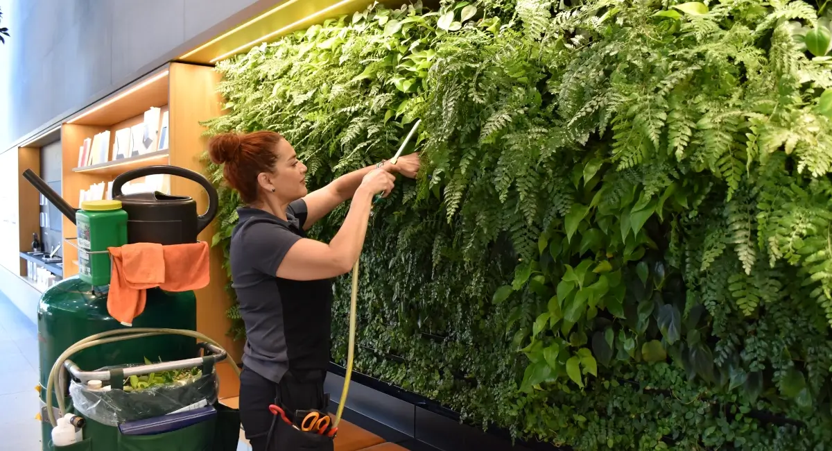 Indoor greenery in tech retail store