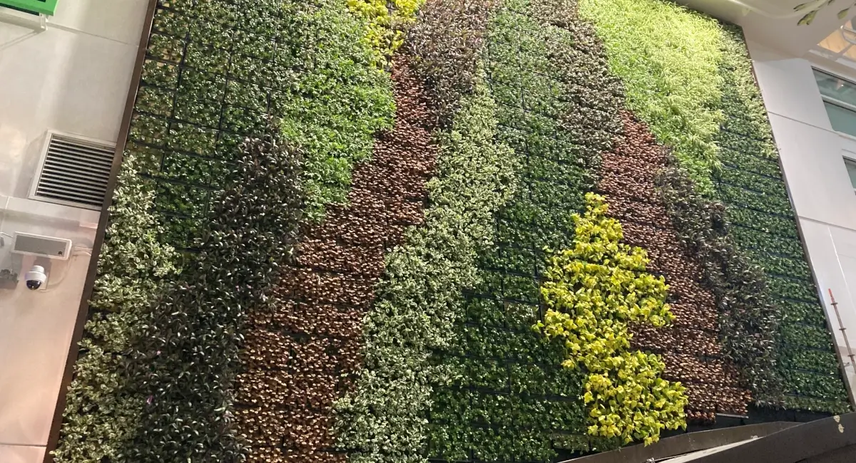 Indoor greenery on cruise ship