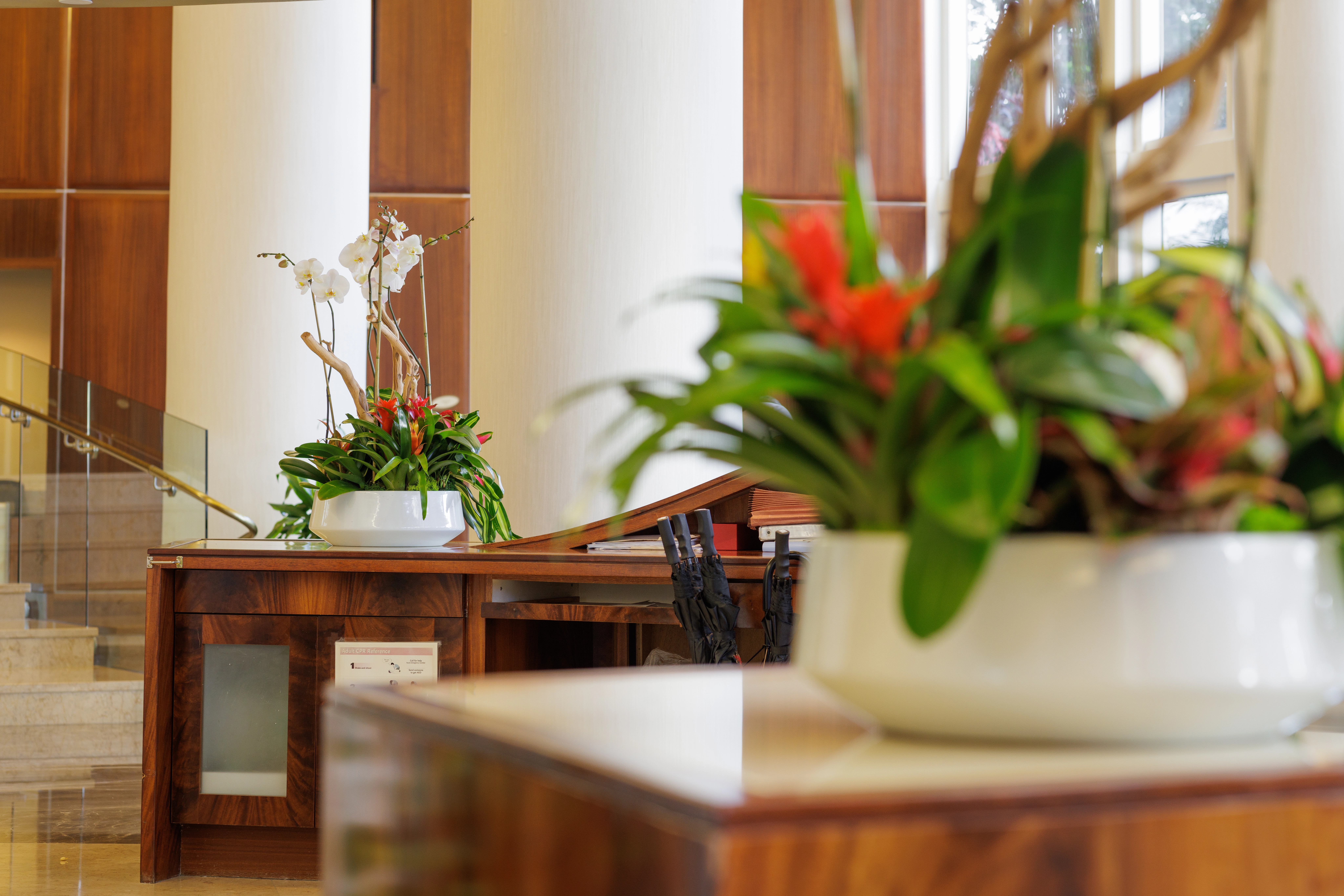 orchids in lobby