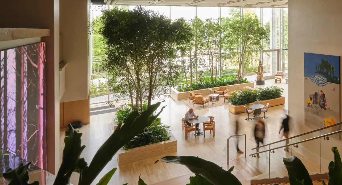 Overhead view of a modern sunlit office lobby featuring large indoor trees and lush planter boxes.