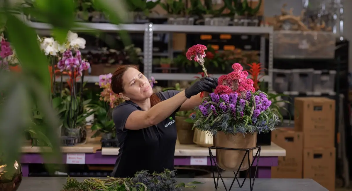 Ambius colleague working on planted flowers