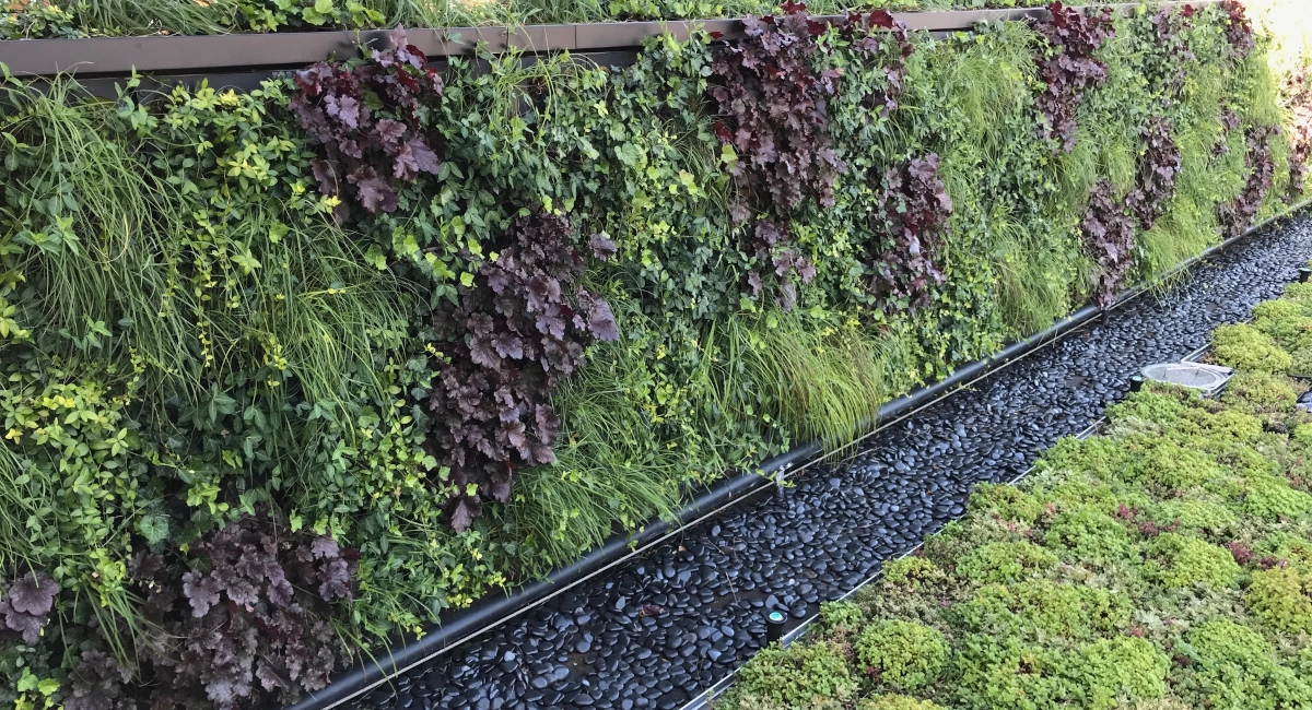 Green wall outside of technology retail company