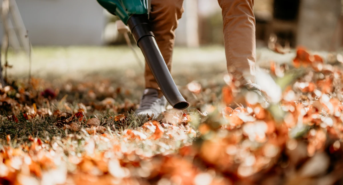 image-banner-stock-gardener-using-leaf-blower-1076044348.webp