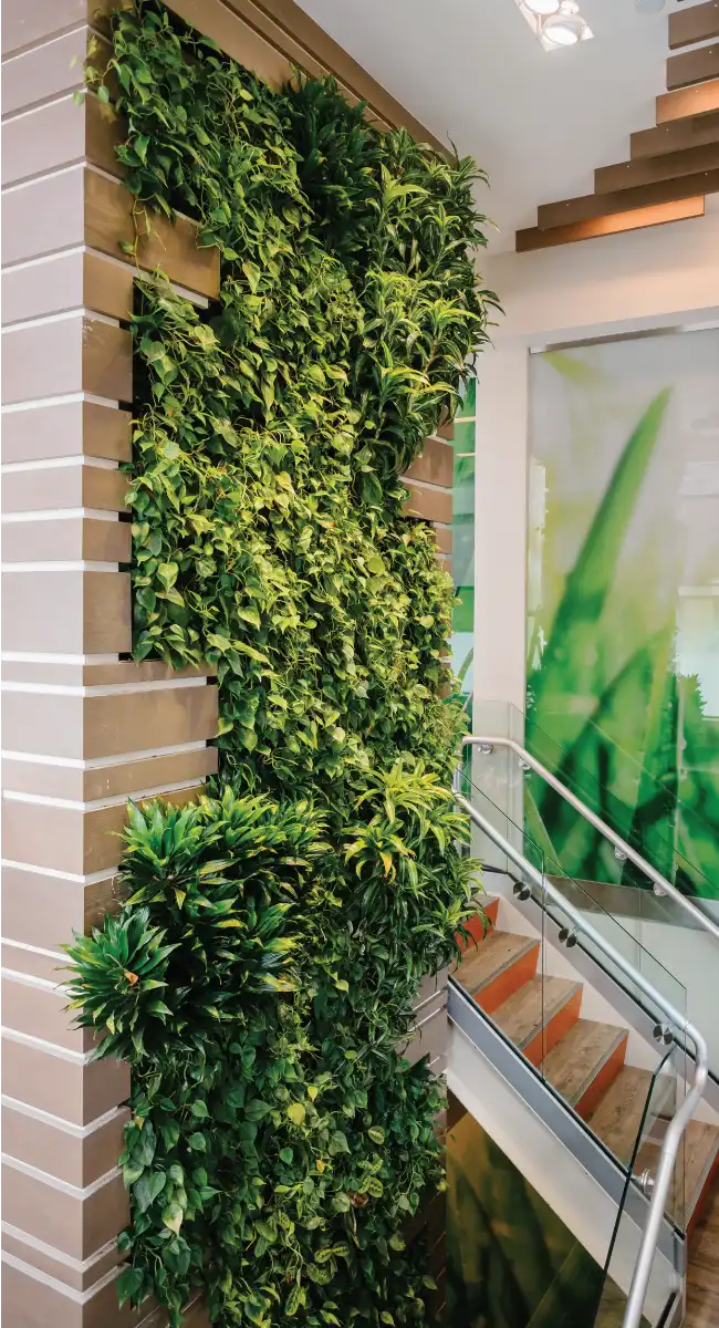 Restaurant hotel plant wall