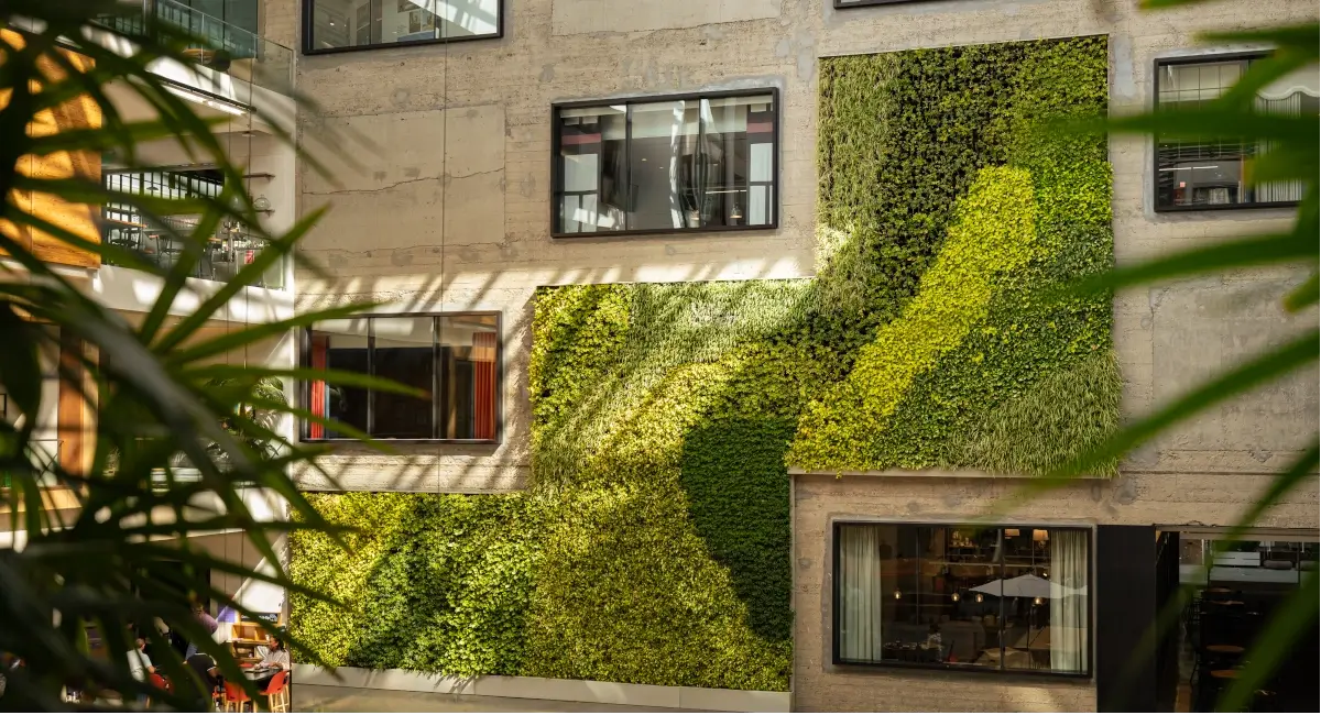 Green wall inside Brannan 888