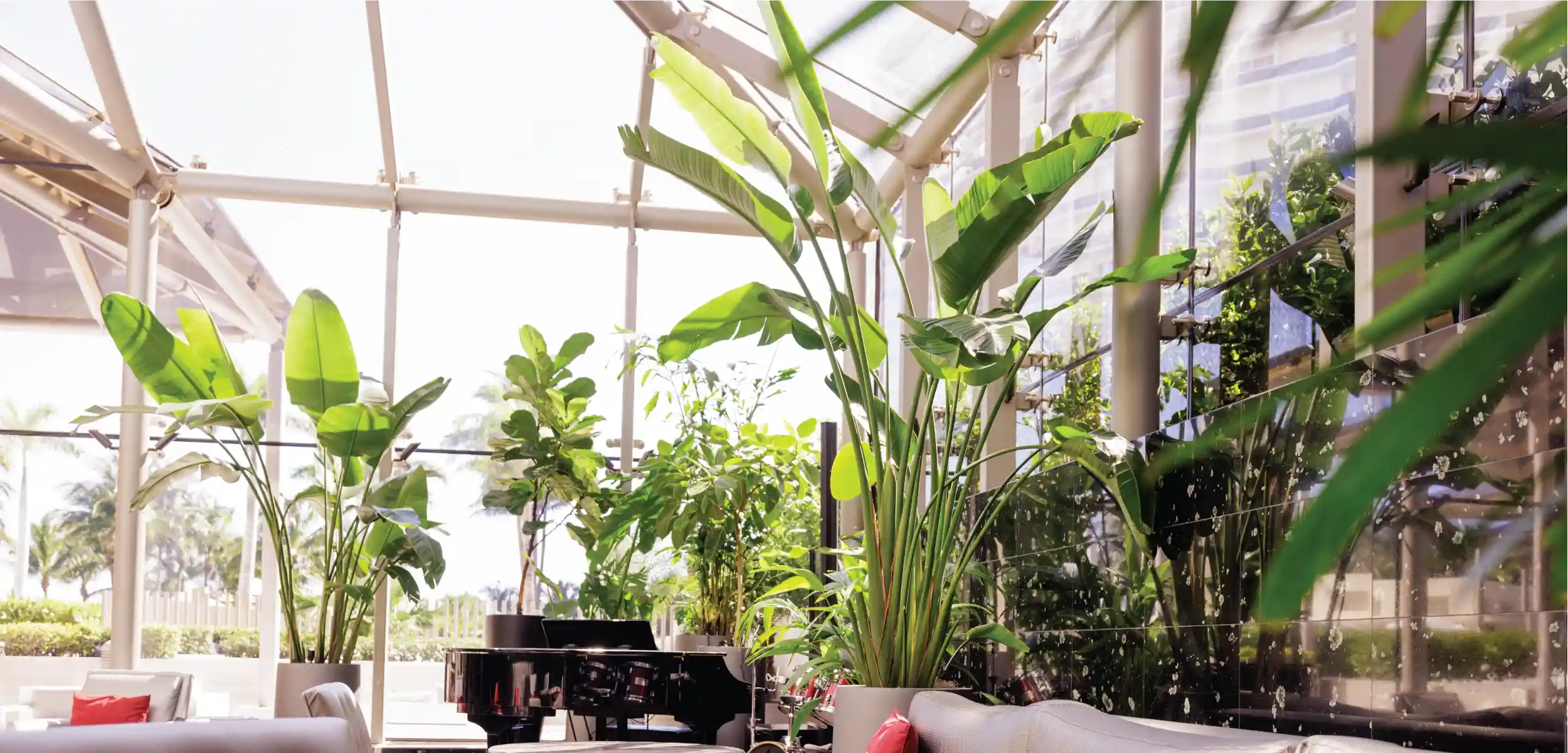 Biophilic Interior Design: Natural Elements | Ambius