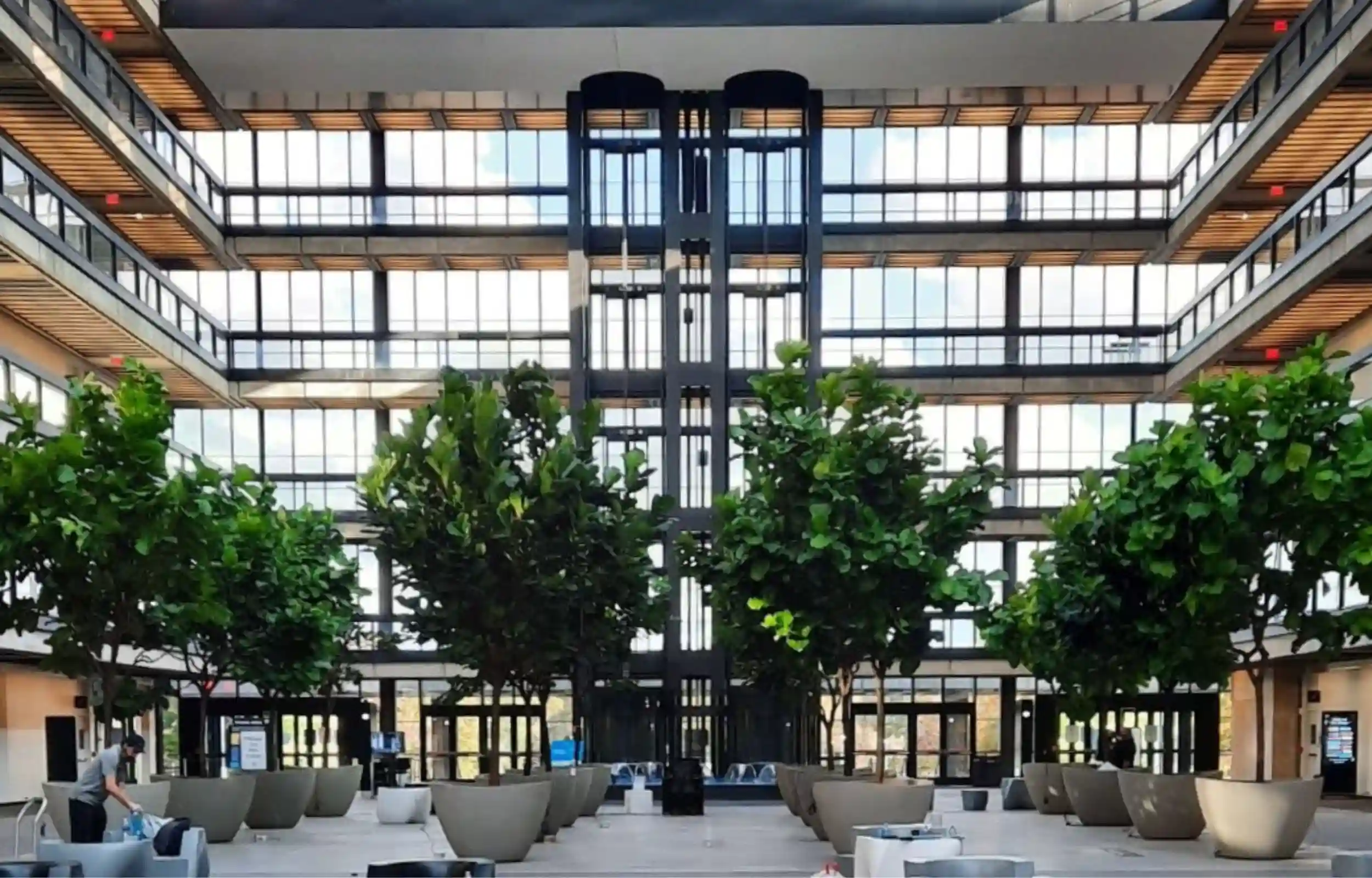 Biophilic design potted tress in building lobby