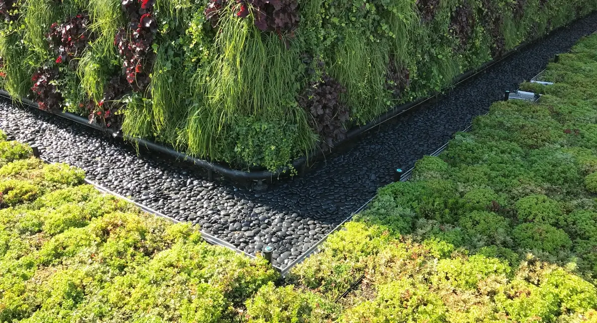 Green wall outside of technology retail company