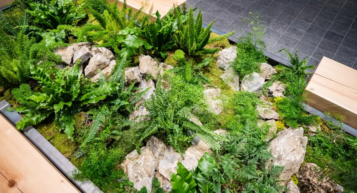Indoor greenery in outdoor retail store