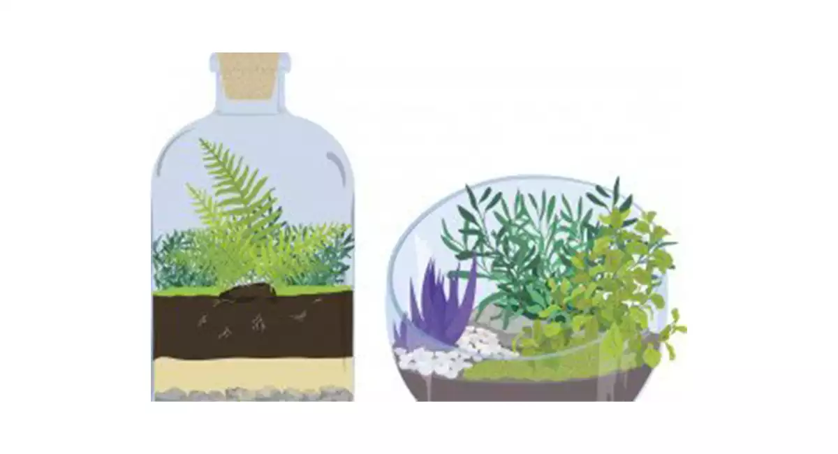 terrarium