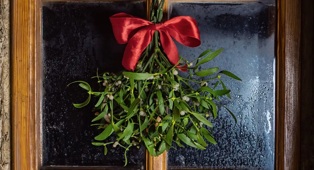 image-banner-stock-branch-of-christmas-mistletoe-with-red-bow-1290347501.webp