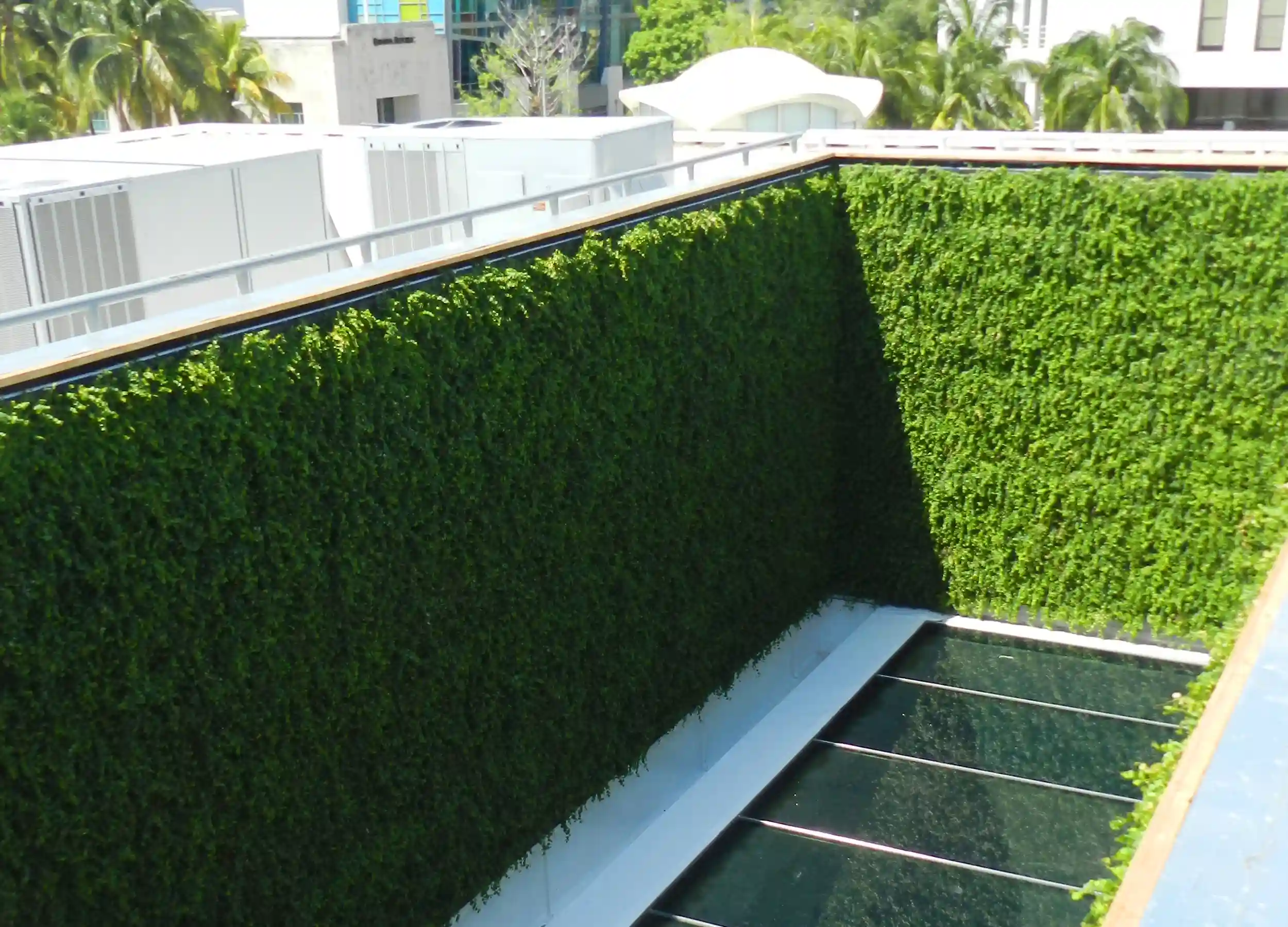Rooftop green wall