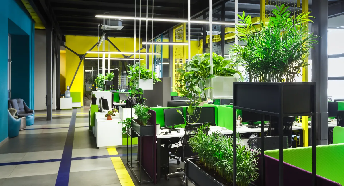 image-stock-ambius-planters-in-office-getty-1167724641.webp