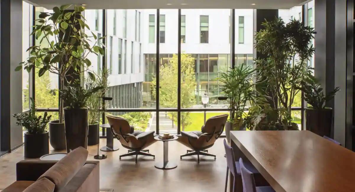 Different indoor plants in an office