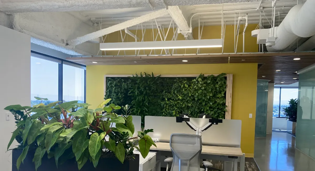 Framed green wall