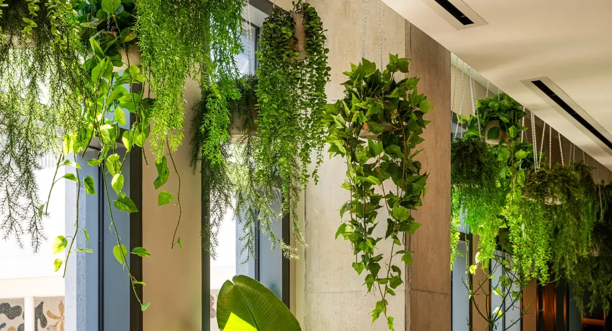 Indoor greenery in luxury apartment