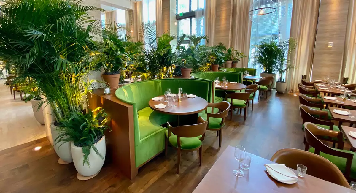 Ambius interior landscaping