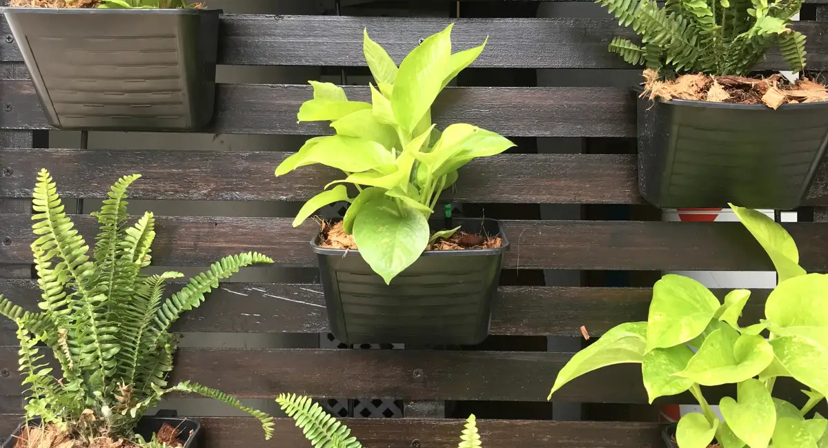 image-banner-stock-vertical-garden-decoration-1326565846.webp